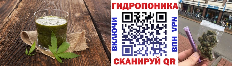 Cannafood конопля  как найти закладки  Кашира 