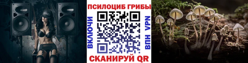 Галлюциногенные грибы Psilocybine cubensis  Кашира 