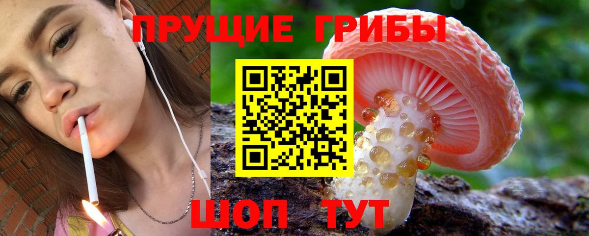 Кашира  Псилоцибиновые грибы Magic Shrooms  Вход с VPN 