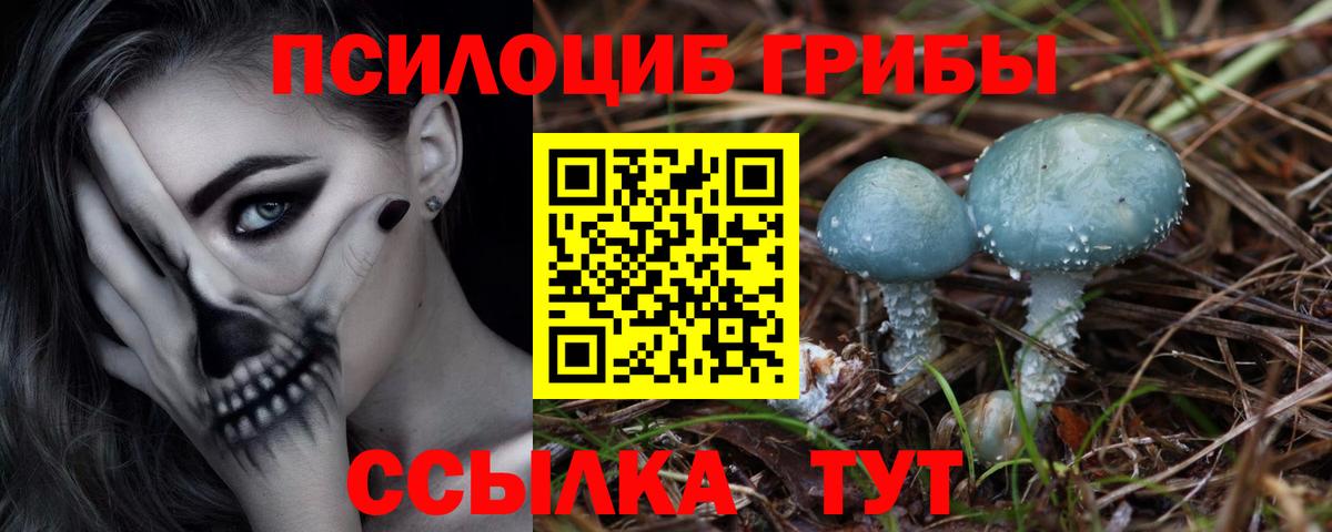 Псилоцибиновые грибы мухоморы Кашира